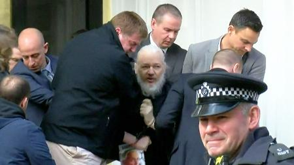 assange wikileaks preso